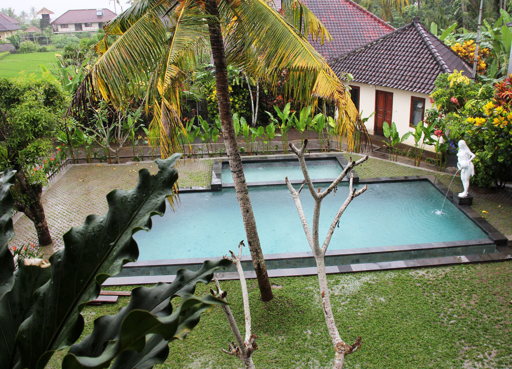 Nyoman Sandi Guest House Ubud Eksteriør bilde